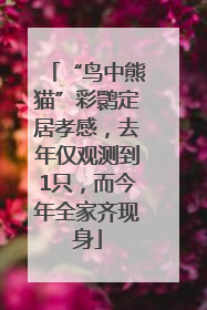“鸟中熊猫”彩鹮定居孝感，去年仅观测到1只，而今年全家齐现身