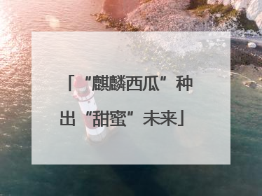 “麒麟西瓜”种出“甜蜜”未来
