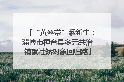 “黄丝带”系新生：淄博市桓台县多元共治铺就社矫对象回归路