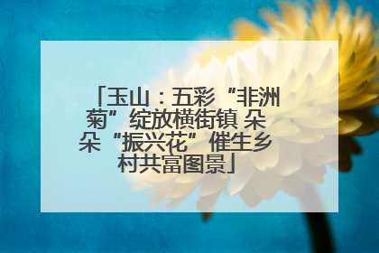 玉山：五彩“非洲菊”绽放横街镇 朵朵“振兴花”催生乡村共富图景