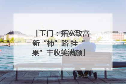玉门：拓宽致富新“柿”路 挂“果”丰收笑满颜