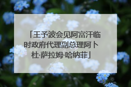 王予波会见阿富汗临时政府代理副总理阿卜杜·萨拉姆·哈纳菲