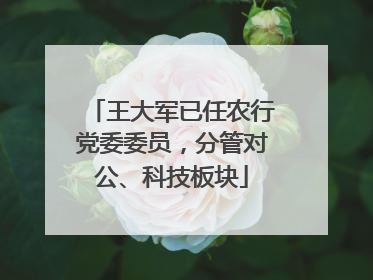王大军已任农行党委委员，分管对公、科技板块