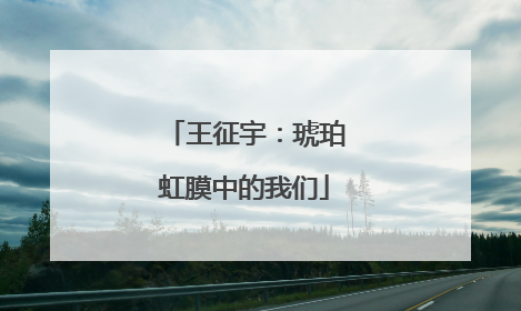 王征宇：琥珀虹膜中的我们