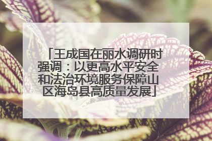 王成国在丽水调研时强调：以更高水平安全和法治环境服务保障山区海岛县高质量发展