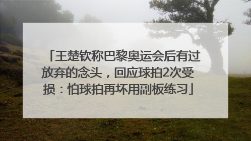 王楚钦称巴黎奥运会后有过放弃的念头，回应球拍2次受损：怕球拍再坏用副板练习