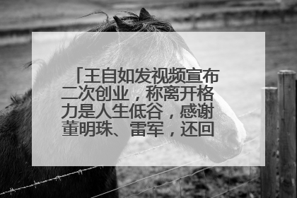 王自如发视频宣布二次创业，称离开格力是人生低谷，感谢董明珠、雷军，还回应了“工资条”：清楚自己要什么……