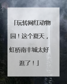 玩转网红动物园！这个夏天，虹桥南丰城太好逛了！