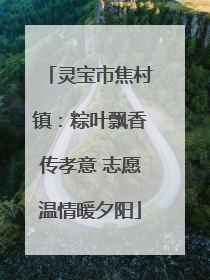 灵宝市焦村镇：粽叶飘香传孝意 志愿温情暖夕阳