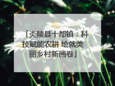 炎陵县十都镇：科技赋能农耕 绘就美丽乡村新画卷
