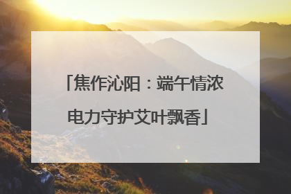 焦作沁阳：端午情浓 电力守护艾叶飘香