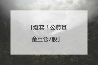 爆买！公募基金重仓7股