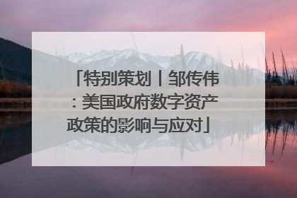 特别策划丨邹传伟：美国政府数字资产政策的影响与应对