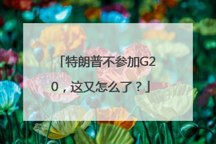 特朗普不参加G20，这又怎么了？