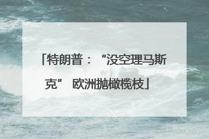 特朗普：“没空理马斯克” 欧洲抛橄榄枝