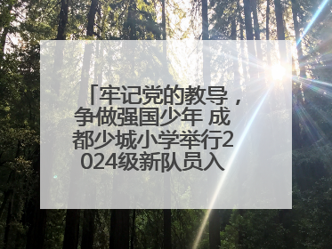 牢记党的教导，争做强国少年 成都少城小学举行2024级新队员入队仪式