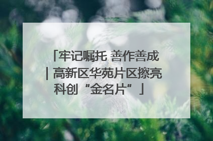 牢记嘱托 善作善成｜高新区华苑片区擦亮科创“金名片”