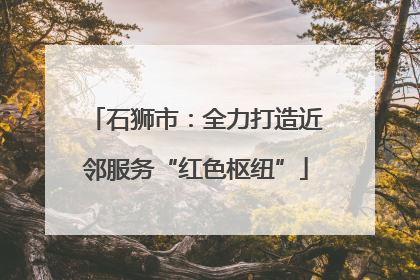 石狮市：全力打造近邻服务“红色枢纽”