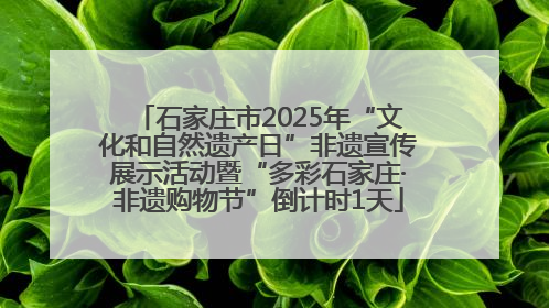 石家庄市2025年“文化和自然遗产日”非遗宣传展示活动暨“多彩石家庄·非遗购物节”倒计时1天