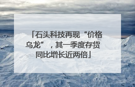 石头科技再现“价格乌龙”，其一季度存货同比增长近两倍