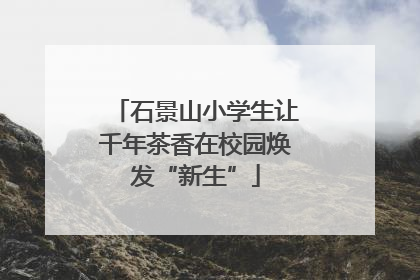 石景山小学生让千年茶香在校园焕发“新生”