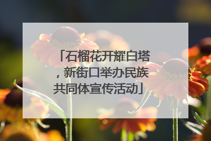 石榴花开耀白塔，新街口举办民族共同体宣传活动