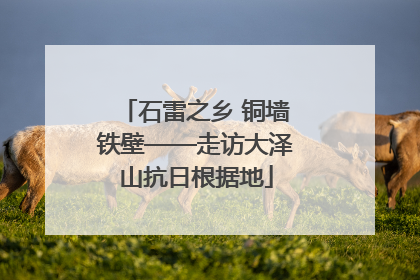 石雷之乡 铜墙铁壁——走访大泽山抗日根据地
