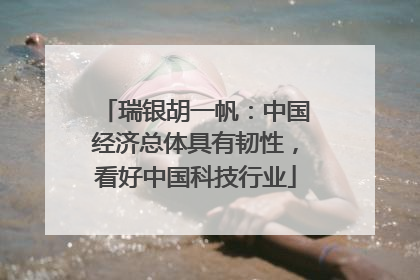 瑞银胡一帆：中国经济总体具有韧性，看好中国科技行业