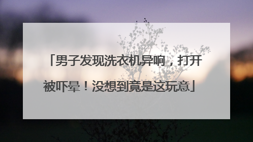 男子发现洗衣机异响，打开被吓晕！没想到竟是这玩意