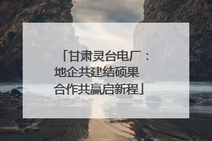 甘肃灵台电厂：地企共建结硕果 合作共赢启新程
