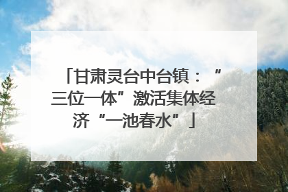 甘肃灵台中台镇：“三位一体”激活集体经济“一池春水”