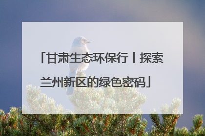 甘肃生态环保行丨探索兰州新区的绿色密码