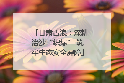 甘肃古浪：深耕治沙“织绿” 筑牢生态安全屏障