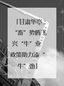 甘肃华亭：“畜”势腾飞兴“牛”业 政策助力添“牛”劲