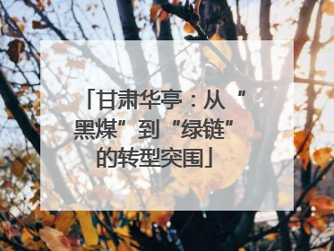 甘肃华亭：从“黑煤”到“绿链”的转型突围