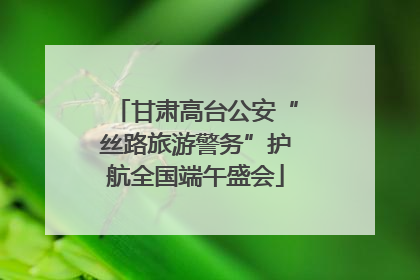 甘肃高台公安“丝路旅游警务”护航全国端午盛会
