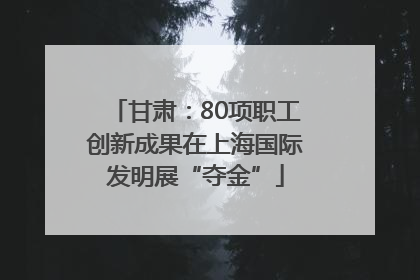 甘肃：80项职工创新成果在上海国际发明展“夺金”