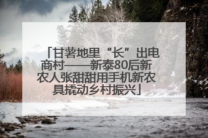 甘薯地里“长”出电商村——新泰80后新农人张甜甜用手机新农具撬动乡村振兴