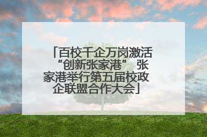 百校千企万岗激活“创新张家港” 张家港举行第五届校政企联盟合作大会