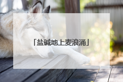 盐碱地上麦浪涌