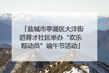 盐城市亭湖区大洋街道育才社区举办“欢乐粽动员”端午节活动