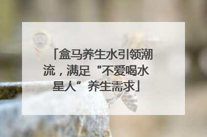 盒马养生水引领潮流，满足“不爱喝水星人”养生需求