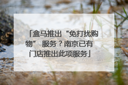 盒马推出“免打扰购物” 服务？南京已有门店推出此项服务
