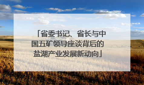 省委书记、省长与中国五矿领导座谈背后的盐湖产业发展新动向