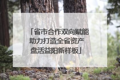 省市合作双向赋能 助力打造全省资产盘活益阳新样板