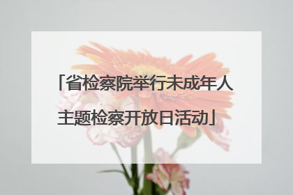 省检察院举行未成年人主题检察开放日活动