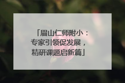 眉山仁师附小：专家引领促发展，精研课题启新篇