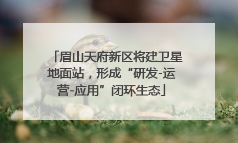 眉山天府新区将建卫星地面站，形成“研发-运营-应用”闭环生态