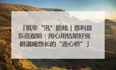 筑牢“汛”防线｜慈利县东岳观镇：用心用情架好党群温暖悠长的“连心桥”