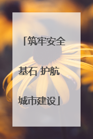 筑牢安全基石 护航城市建设